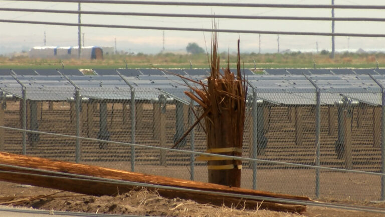 IID Declara zona de emergancia el condado