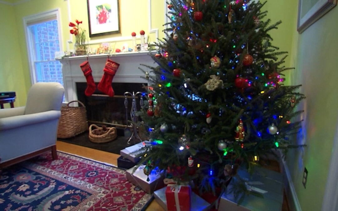 Recomiendan tomar medidas de seguridad en el hogar