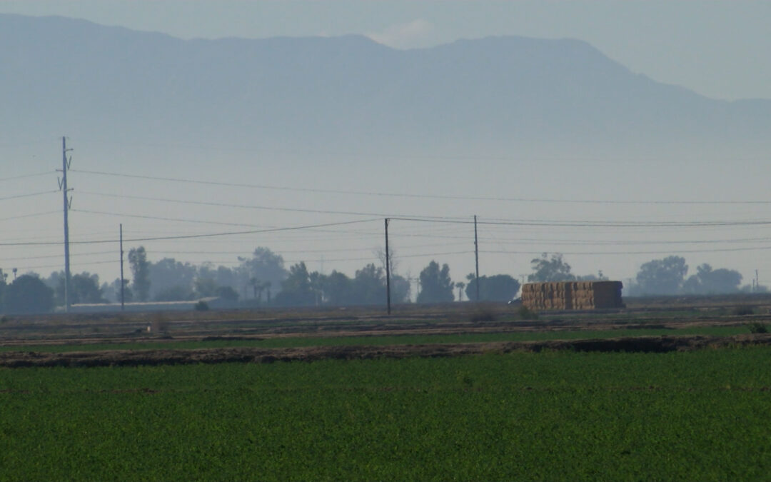 Recomiendan no hacer fogatas