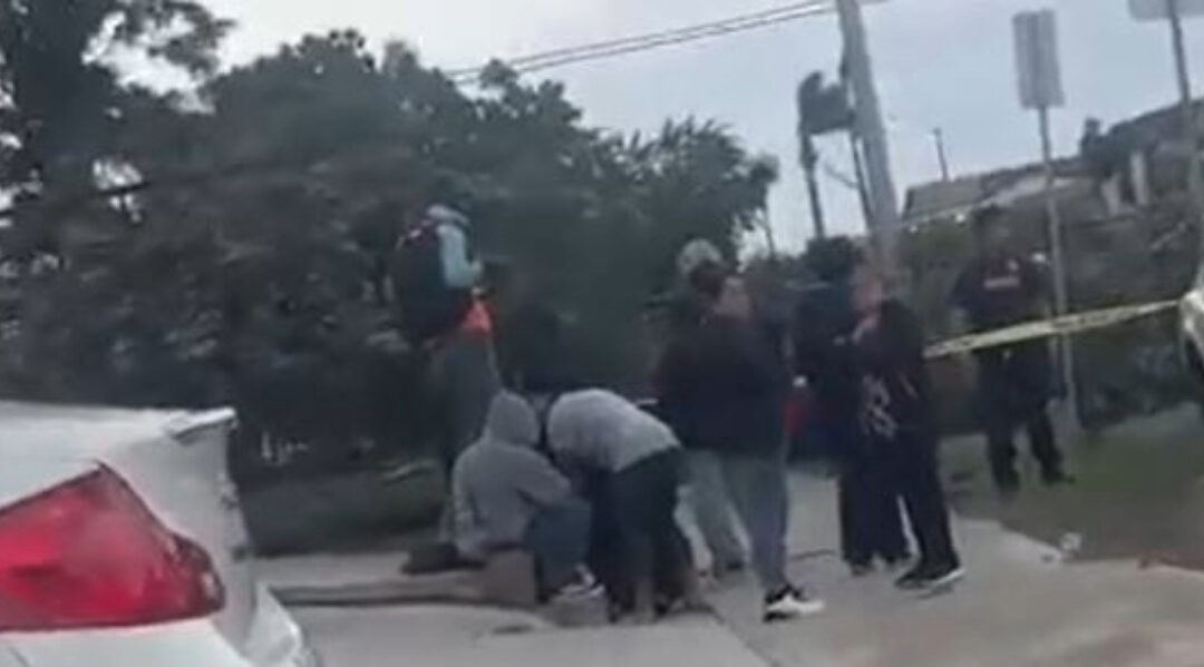 Hombre pierde la vida tras trágica caída de árbol en City Heights, San Diego