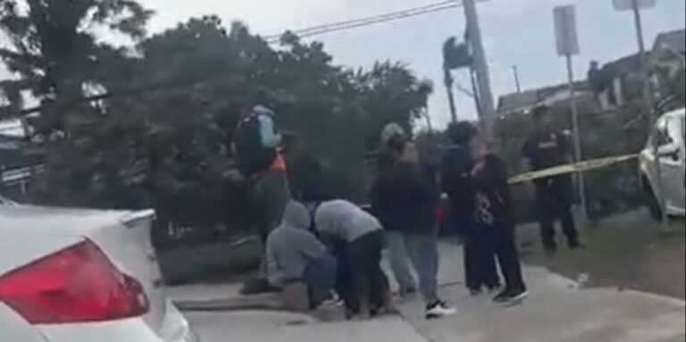 Hombre pierde la vida tras trágica caída de árbol en City Heights, San Diego