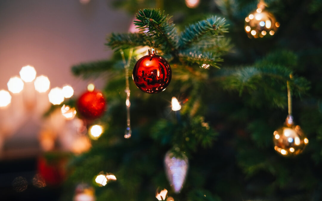 Reciclaje de Árbol de Navidad: TreeCycle Denver Comienza el 29 de Diciembre