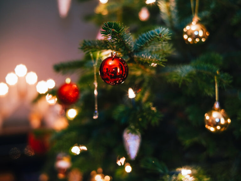 Reciclaje de Árbol de Navidad: TreeCycle Denver Comienza el 29 de Diciembre