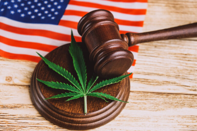 Corte Suprema Estudia Derechos Constitucionales: ¿Pueden Consumidores de Marihuana Poseer Armas Legalmente?