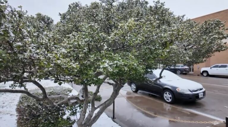 Nieve en el Permian Basin: Autoridades Advierten Sobre Precauciones de Seguridad