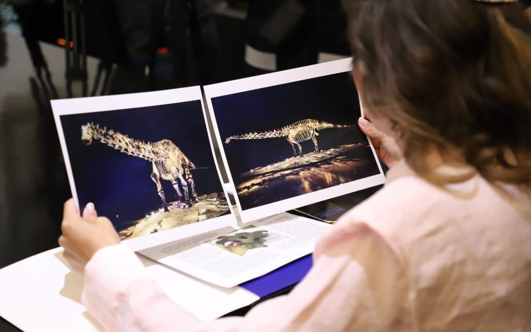 El fósil ‘Einstein’ fue prestado, no donado, aclara San Pedro Garza García