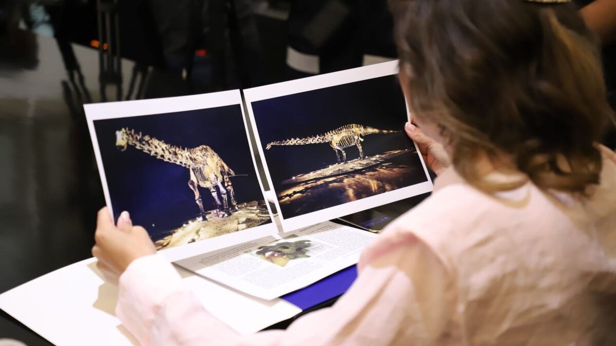 agosto-cabildo-aprobo-mayoria-celebracion