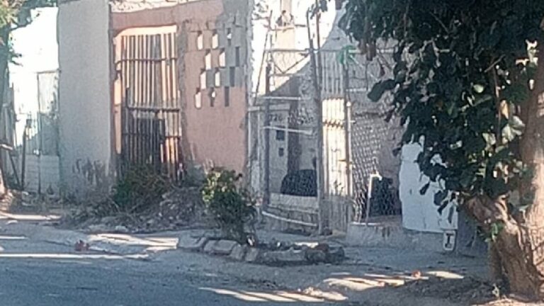 Alertan sobre riesgo en Quintas los Nogales de Torreón: perros agresivos y abandono de espacios públicos