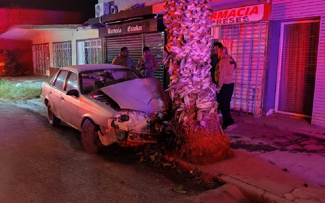 Accidente Automovilístico en Torreón: Menores de Edad Estrellan Vehículo Contra una Palma