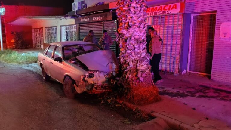 Accidente Automovilístico en Torreón: Menores de Edad Estrellan Vehículo Contra una Palma