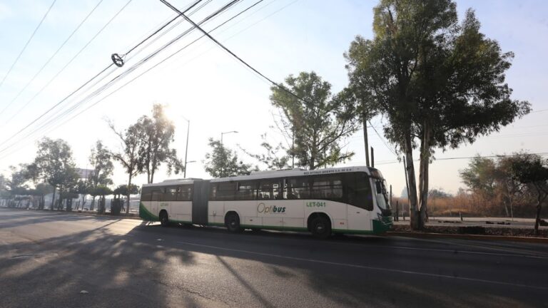 Retrasos en el Transporte Público de León: Afectaciones de Hasta 30 Minutos Este 1 de Enero de 2026