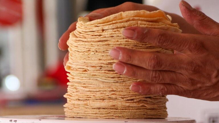 Precios de la tortilla y gasolina en Puebla: Un vistazo a 2026
