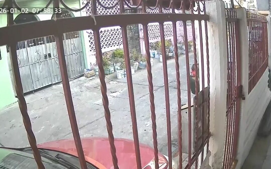 Impactante sismo en Guerrero y Ciudad de México: usuarios comparten sus vivencias en redes sociales