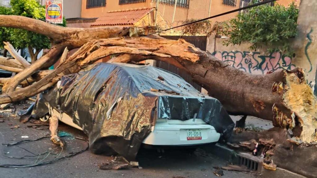 Sismo en San Marcos, Guerrero: Más de 30 inmuebles afectados en CdMx y 2 en peligro de colapso