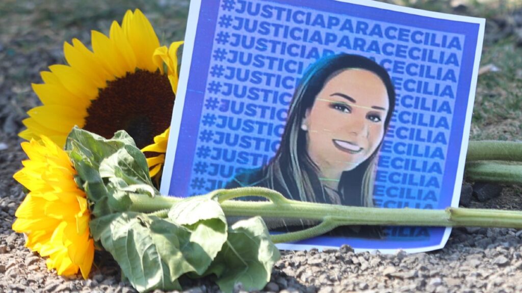 Ley Mozón: Castigos y Estados de Aprobación en El Centro