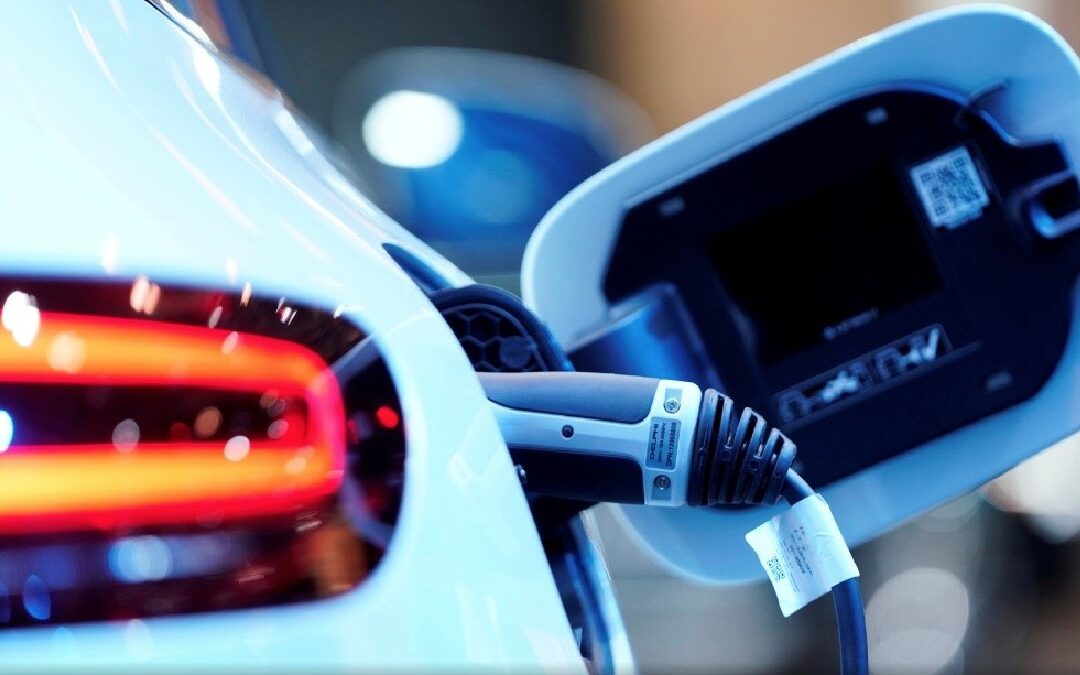 Trágico Accidente en El Centro: Niño de 5 Años Muere Arrollado por Automóvil Eléctrico