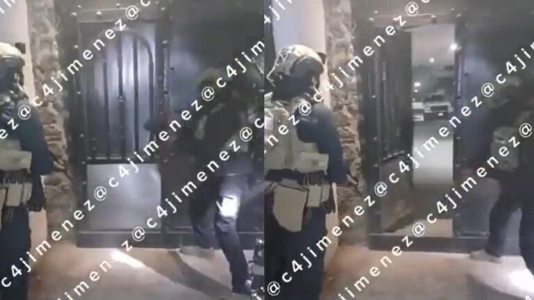 Nacen Perritos Durante el Notable Operativo en Xochimilco contra el Cártel de Sinaloa