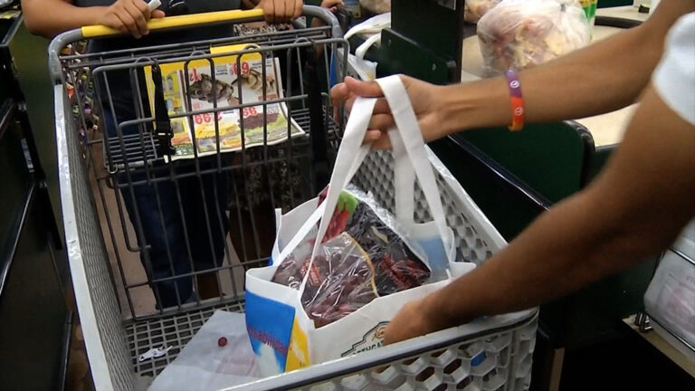 California Implementa Nueva Ley de Bolsas de Plástico para Proteger el Medio Ambiente