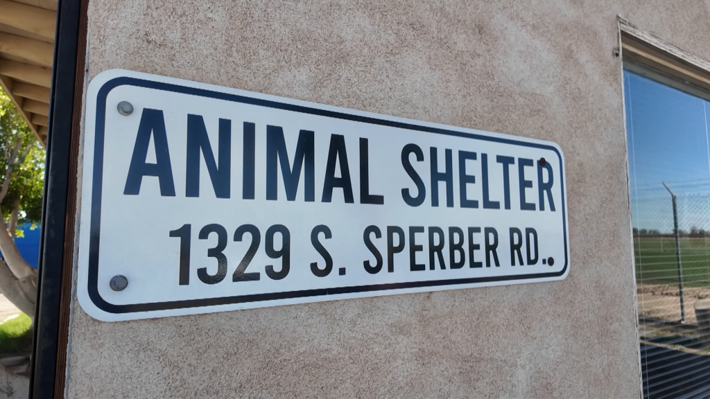 Control Animal cerrará temporalmente el 23 de enero en el Condado de Imperial