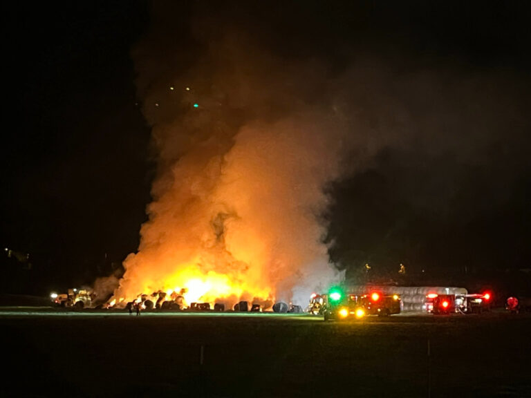 Incendio en San Diego: Bomberos luchan contra el fuego que consume pacas de heno cerca del Safari Park