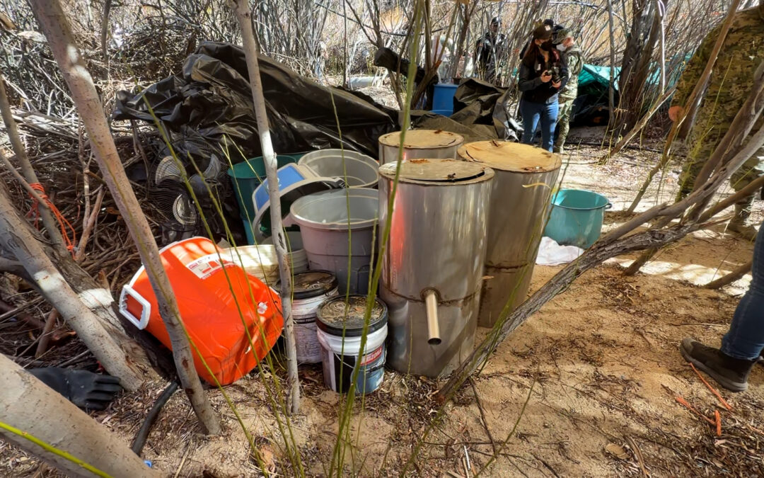 Desmantelamiento de un laboratorio de metanfetamina en la Sierra de San Pedro Mártir