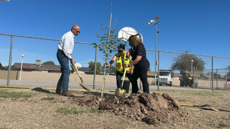 Impulsan reforestación en Nosotros Park para mejorar espacios públicos en Calexico