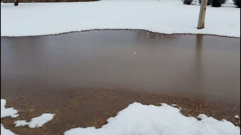 Hielo Negro: Peligros Mortales y Consejos para Conducir de Forma Segura en Nevada