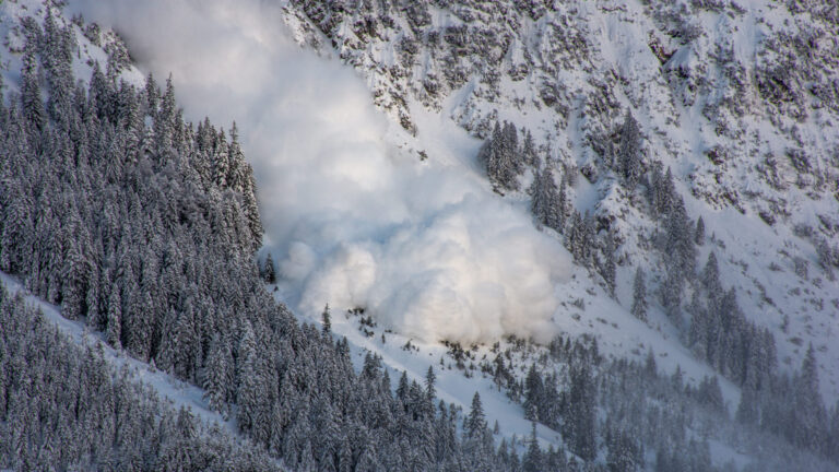 Exalumna de Boston College, Kate Vitt, entre las víctimas de la avalancha en California