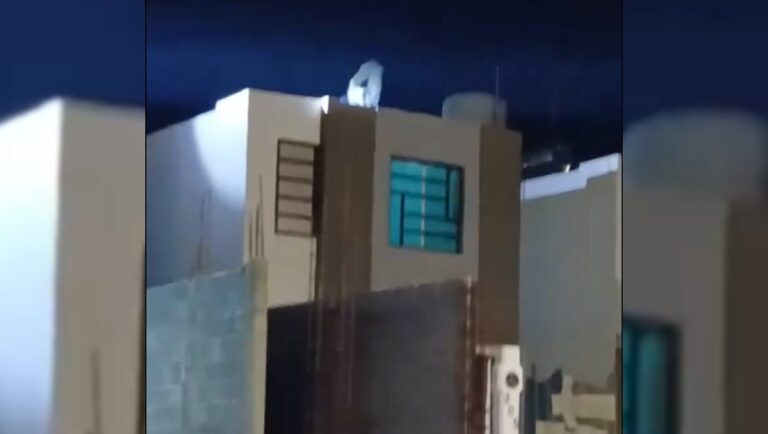 Impactante momento: Hombre se lanza al vacío para evitar su detención | VIDEO