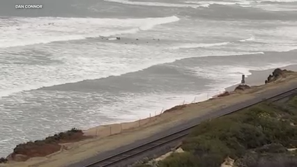Sentencia por Contrabando de Personas en Del Mar: Diez Meses de Prisión