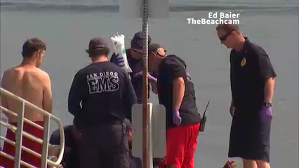Ahogamiento en Mission Bay: Investigan la Tragedia en San Diego