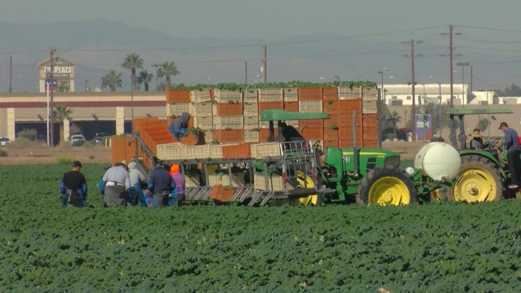 California propone ley para distribuir productos menstruales gratuitos a trabajadoras agrícolas a partir de 2027