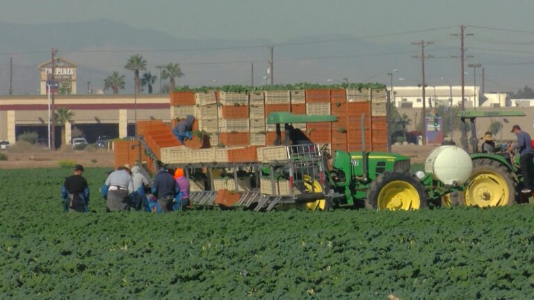 California propone ley para distribuir productos menstruales gratuitos a trabajadoras agrícolas a partir de 2027