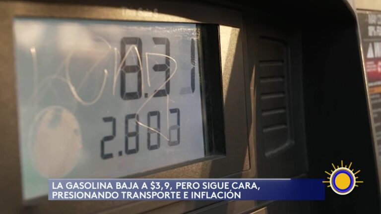 Caen Precios De La Gasolina En EE.UU., Pero Alivio Podría Ser Temporal