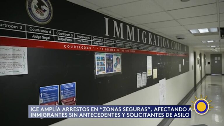 Política De Inmigración Endurecida Por ICE