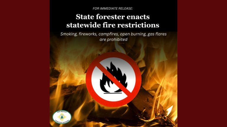 Nuevas restricciones por riesgo de incendios en Nuevo México: Medidas urgentes de la gobernadora