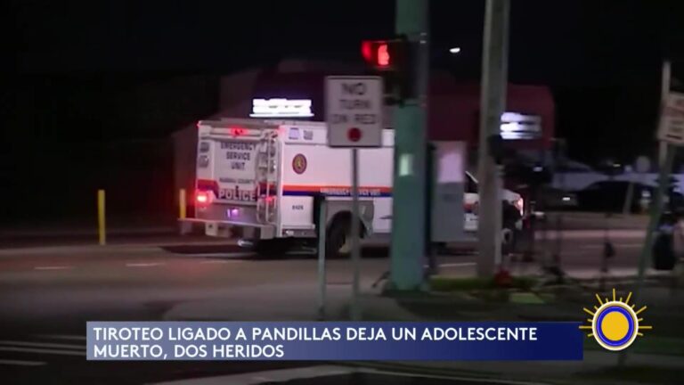 Tiroteo Vinculado A Pandillas En Long Island