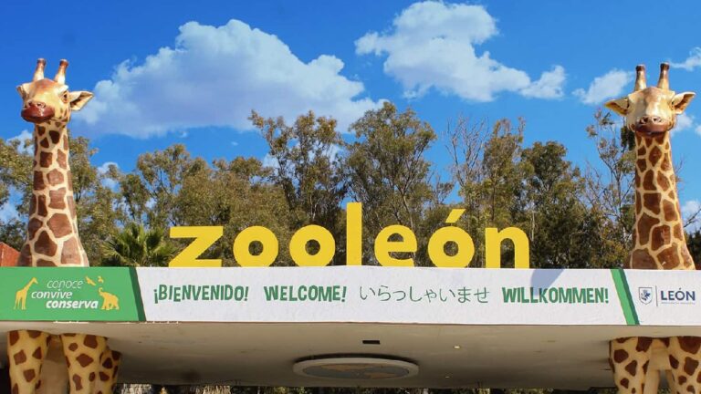 Sergio Contreras impulsa exhorto para desclasificar contrato fallido del Zoológico de León