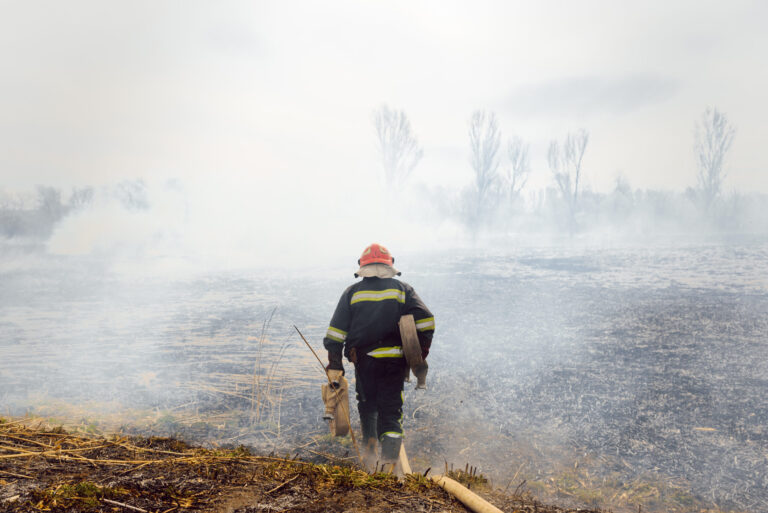 Incendio Helios en San Luis Obispo: Controlado en un 90% y reducido a 38 acres