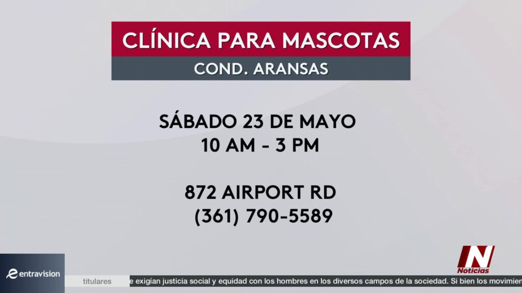 Clínica de Salud Gratuita para Mascotas en Aransas: Vacunación y Licencias a Precios Asequibles