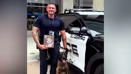 K9 de El Centro destaca en competencia de detección de narcóticos en San Diego