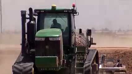 Virus transmitido por mosca blanca amenaza cultivos de melón en Yuma County