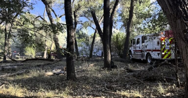 Bomberos de Albuquerque Apagan Incendio en el Bosque Cerca de Alcalde Place y Tingley Drive