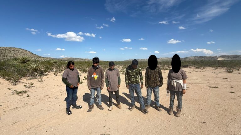 Detención de Migrantes en Terrell: Dos Mujeres Embarazadas Entre los Arrestados