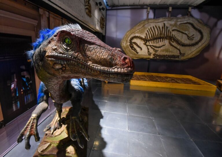 Descubre la Fascinante Historia de los Dinosaurios en Coahuila