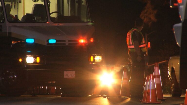 Operativo Vehicular en Chula Vista Controla Más de 2,000 Autos en Palomar Street