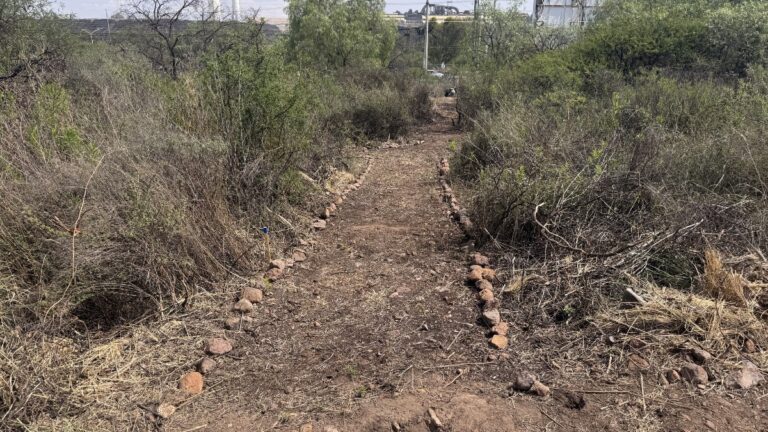 Crean en San Luis Potosí el Primer Bosque Escuela como Santuario Ecológico