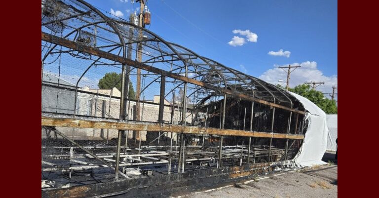 Incendio en Las Cruces: Bomberos Controlan Fuego en Invernadero Sin Heridos