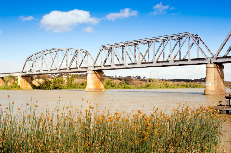 Cierre del Puente Murray: Impacto Económico y Desvíos en Santa Cruz