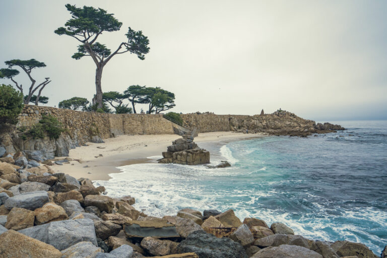 Lovers Point Beach de Monterey cerrada tras hallazgo de ballena sin vida